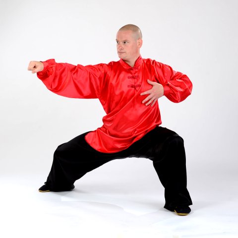 10. Concealing hand and striking with arm (yan shou gong quan)