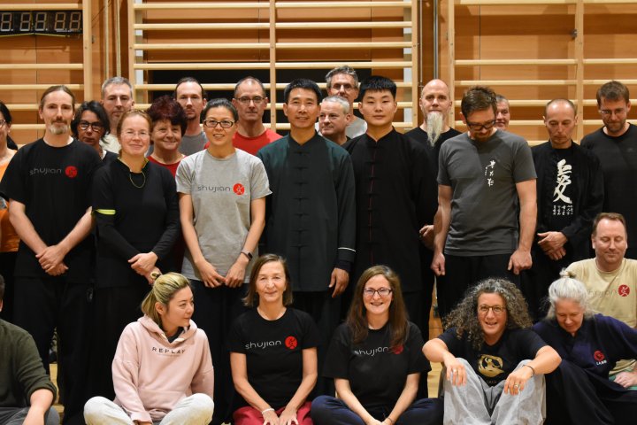 Chen Taiji Quan Workshop with master Chen Bing in Vienna