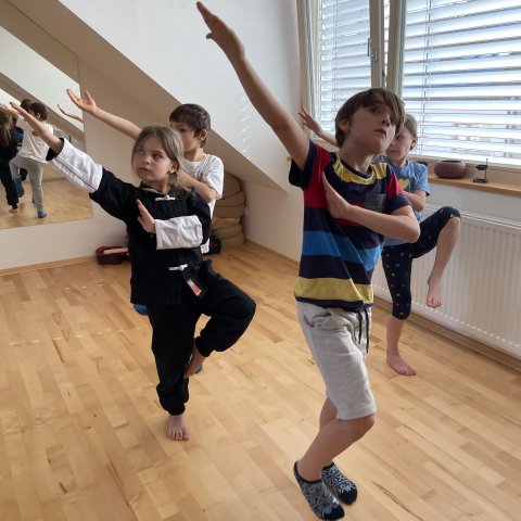 Kung Fu for kids in Brno